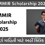 EMMIR Scholarship 2025