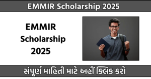 EMMIR Scholarship 2025